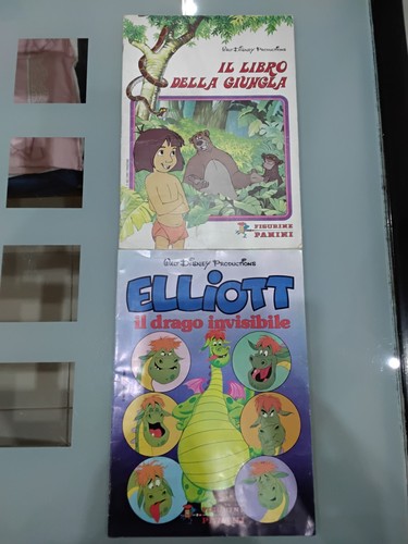 Album panini libro della - il,
